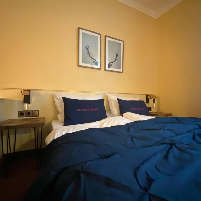 غرفة صغيرة بسرير كينج، Harz Hotel & Spa Seela 4/10
