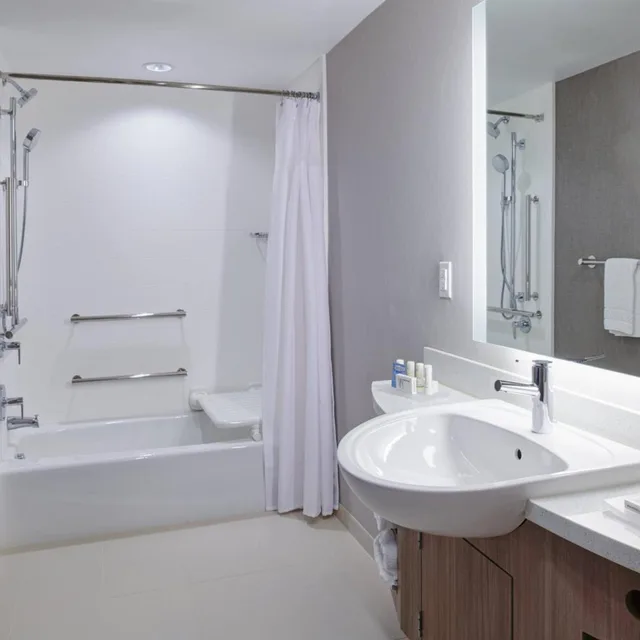 جناح بسرير كوين بإطلالة على المدينة لذوي الإعاقة، Springhill Suites Detroit Wixom 10/10