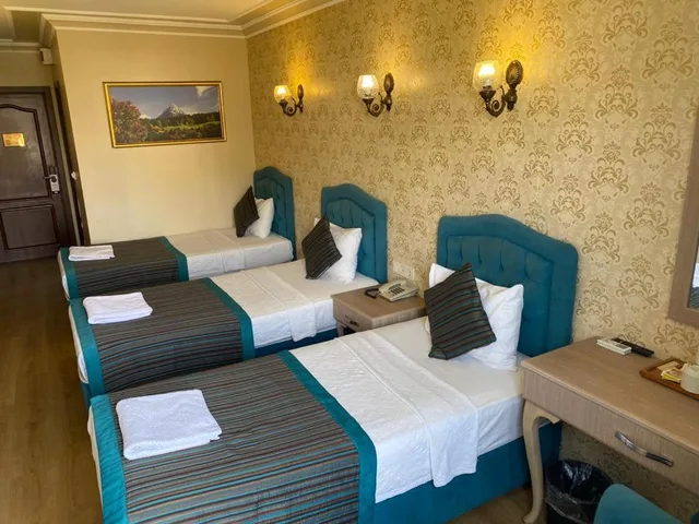 غرفة ثلاثية بإطلالة على المدينة، Grand Hamit Hotel 8/10