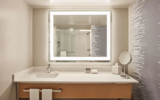 غرفة ديلوكس بسرير مزدوج، Hyatt Regency Orange County 3/4