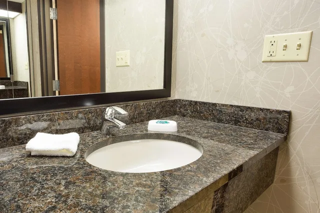 Room, King Bed, Drury Inn and Suites Greensboro 3/4