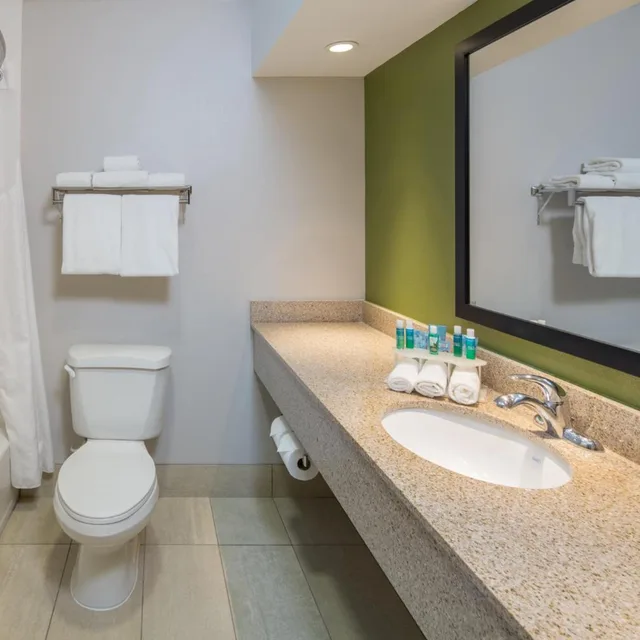 Xtra Space, Standard, King Bed، Holiday Inn Express Cedar Rapids Collins Rd 5/9
