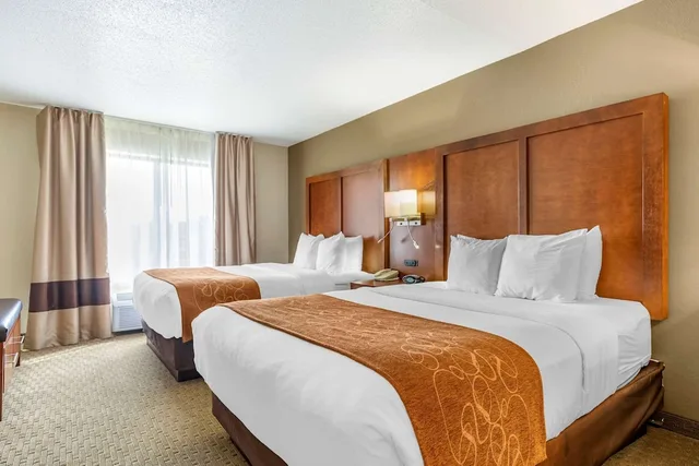 جناح بسريرين كوين مع أريكة لذوي الإعاقة، Comfort Suites Grand Rapids North 1/4