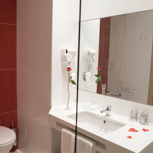 Deluxe, Double Bed, Flag Hotel Aljustrel 7/10
