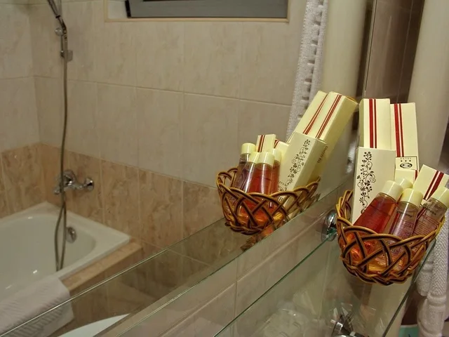 غرفة فاخرة بغرفة نوم واحدة، Brod Hotel 1/1