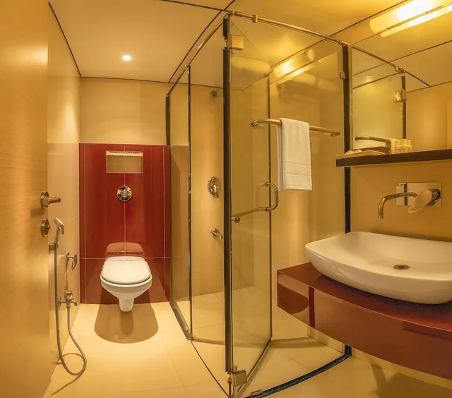 غرفة بريميوم بسريرين منفصلين، Hotel Oriental Aster 6/6
