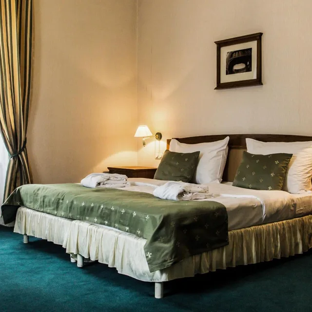 غرفة ديلوكس بسرير مزدوج مع أريكة، Hotel Dvorak 4/7