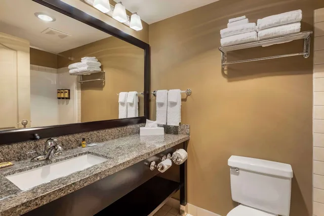 Standard, Queen Bed, Small, Best Western Plus Baker Street Inn 8/9