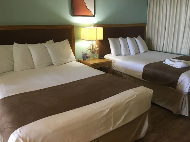 جناح استوديو ديلوكس بسريرين كوين بإطلالة على البحر، Beachview Inn Clearwater Beach 4/10
