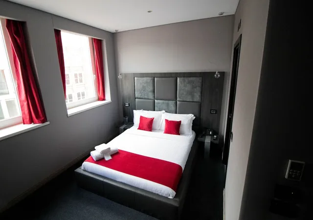 غرفة قياسية مزدوجة، The Bryson Hotel 3/10