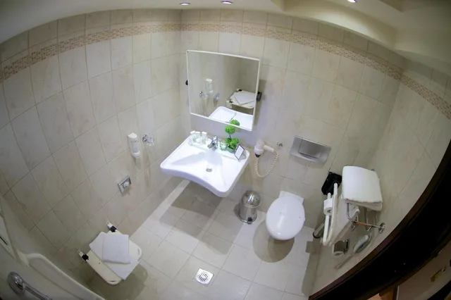 غرفة بسريرين منفصلين لذوي الإعاقة، Capsis Hotel Thessaloniki 10/10
