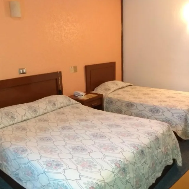 غرفة صغيرة مزدوجة، Maria Victoria Hotel 5/8