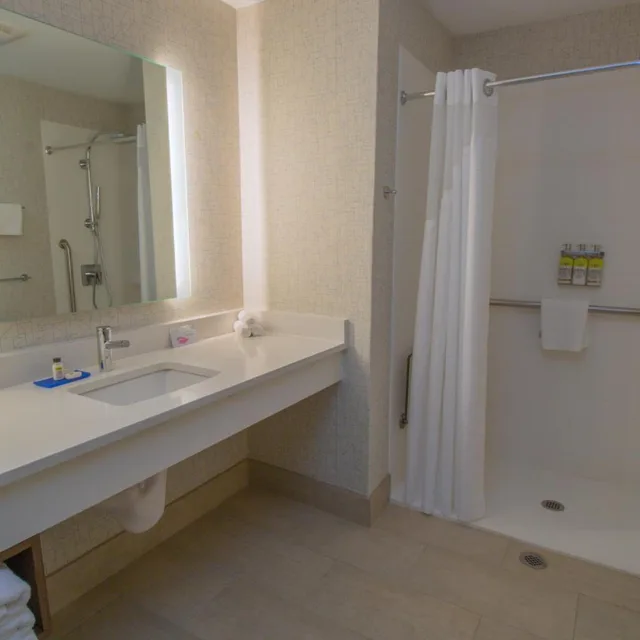 Standard, King Bed, Accessible, Holiday Inn Express Hotel And Suites Manassas 3/4