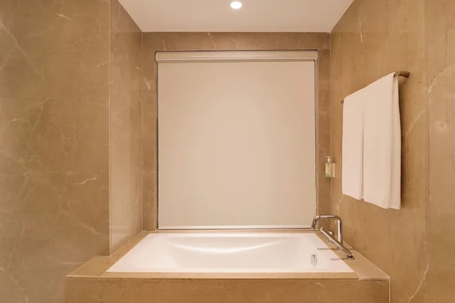جناح استوديو رئاسي بسرير كينج، Hotel Lemon Tree, Premier, Kathmandu 7/7