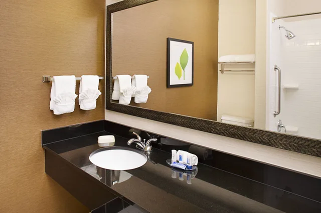 جناح بسرير كينج مع أريكة، Fairfield Inn Suites By Marriott San Antonio Seaworld 4/6