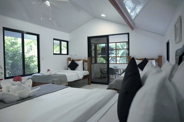 casita، Jungles Edge 1/4