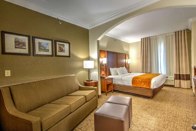 Suite, King Bed, Comfort Suites Tomball Medical Center, TX 2/5