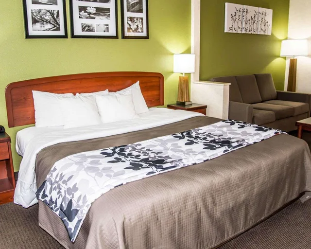 Suite, King Bed, Accessible, Sleep Inn & Suites Allendale, MI 1/1
