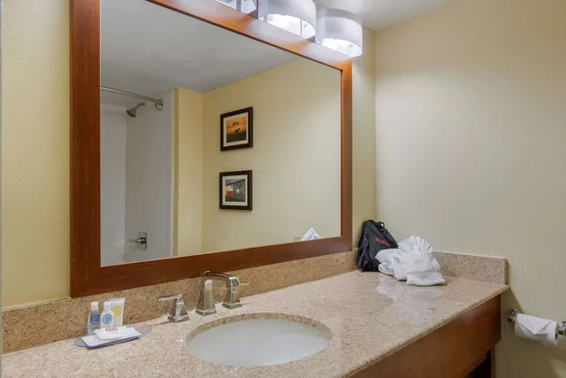 جناح بسرير كينج، Comfort Inn & Suites SW Houston Sugarland 3/3