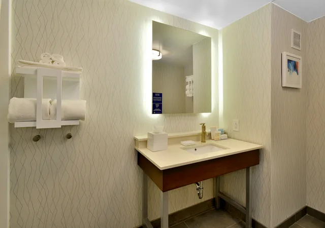 Room, King Bed, Accessible, Hampton Inn Santee-I-95 6/7