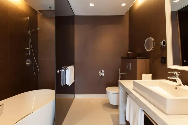 جناح بسرير كينج بإطلالة على الجبل بغرفة نوم واحدة، Crowne Plaza Geneva 4/5
