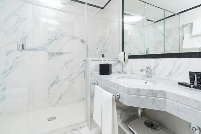 غرفة كلاسيكية بسريرين منفصلين، Bernini Palace Hotel 3/3