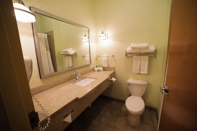 غرفة قياسية بسرير فردي، Holiday Inn Express Hotel Suites Atlanta East Lithonia 2/4