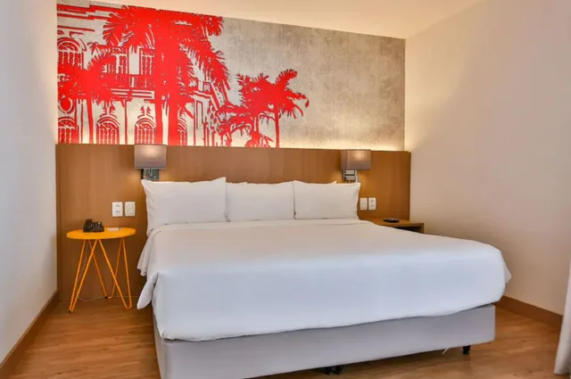 استوديو بسرير كينج لذوي الإعاقة، Radisson Red Campinas 1/1