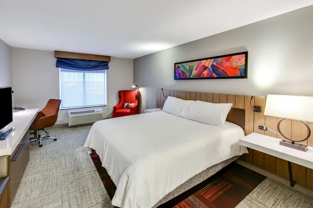 Evolution, King Bed, Hilton Garden Inn Ames 7/10