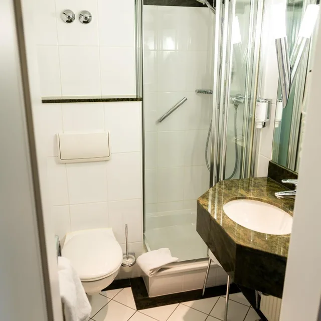 Standard, Single, Hotel Kaiserhof 6/15