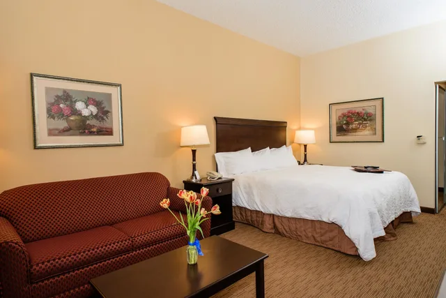 Suite, King Bed, Hampton Inn Victoria 5/7