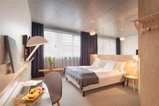 غرفة قياسية مفردة، ZANDER K HOTEL 6/11