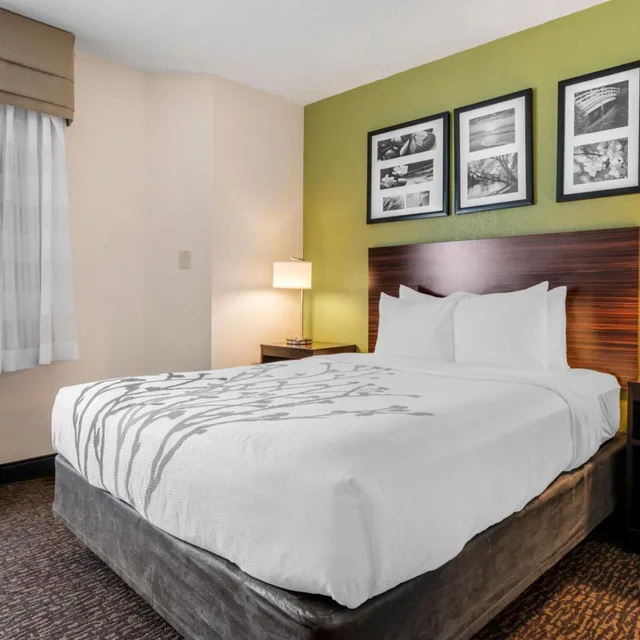 غرفة ديلوكس بسرير كوين، Sleep Inn Naperville - Chicago 1/10