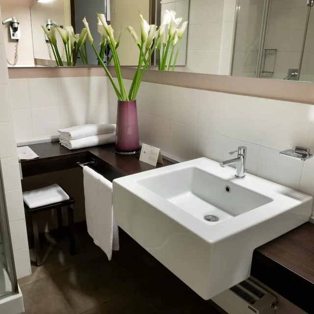 غرفة كلاسيكية بسرير مزدوج أو سريرين منفصلين، Hc3 Hotel 8/8