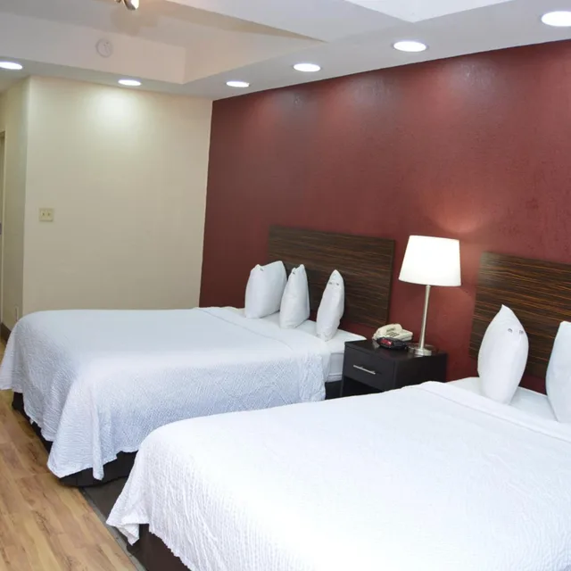 جناح بسريرين مزدوجين بمطبخ صغير، Red Roof Inn Plus Suites Chattanooga Downtown 3/7