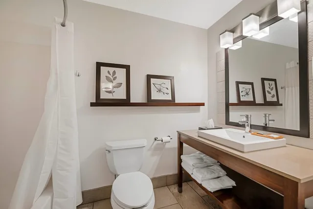 جناح بسرير كينج بغرفة نوم واحدة مع أريكة، Country Inn Suites By Radisson West Bend Wi 4/4