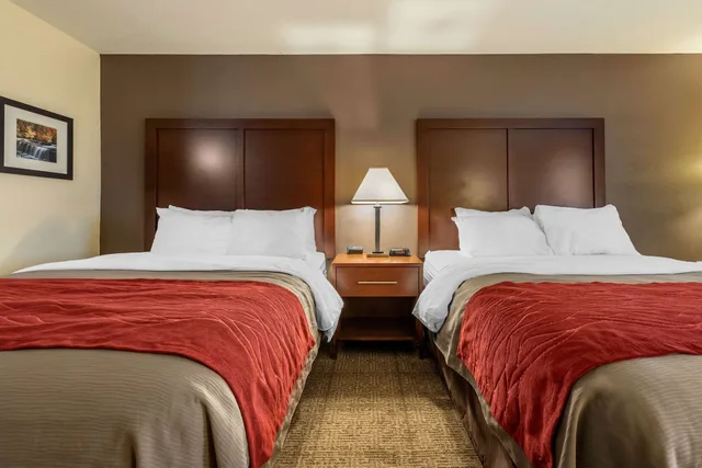 غرفة قياسية بسريرين كوين، Comfort Inn Warren I-69 2/6
