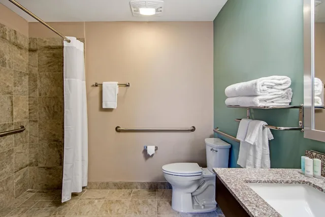 جناح بسريرين كوين مع أريكة، Clarion Inn & Suites Atlanta Downtown 2/2