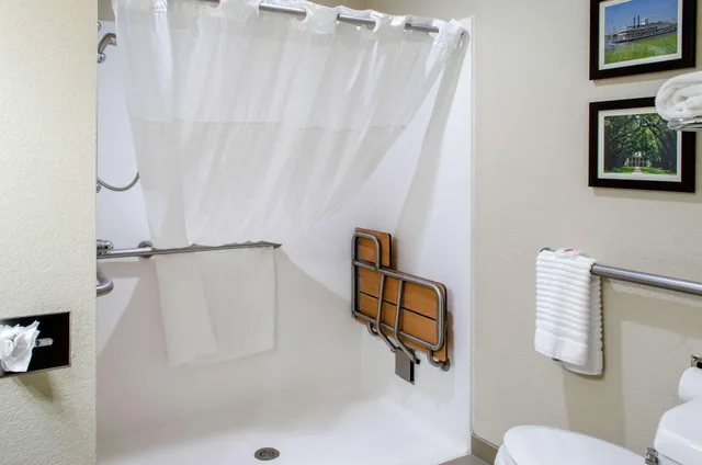Room, Double Bed, Comfort Inn & Suites Covington - Mandeville 4/4