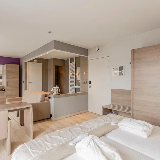 Executive, Penthouse, Suite, Terrace، Casino Hotel 5/9