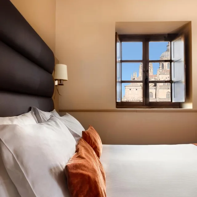 غرفة سوبيريور بسرير مزدوج أو سريرين منفصلين، Palacio de San Esteban 3/10