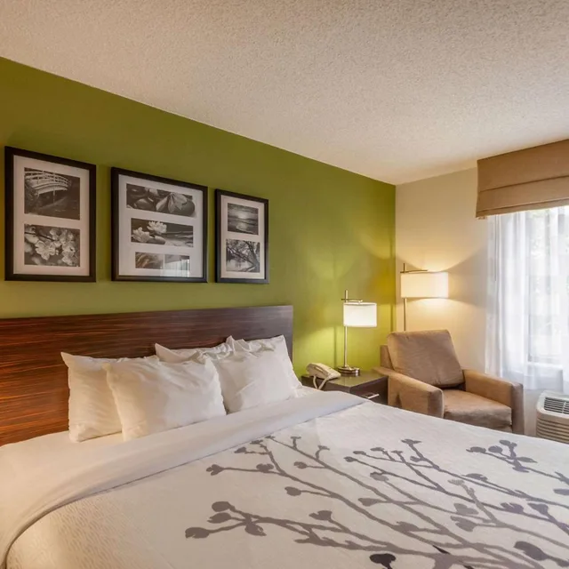 Suite, King Bed, Sleep Inn and Suites Harrisonburg Near University 2/5