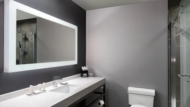 غرفة بسرير كينج وسرير كوين لذوي الإعاقة، The Courtyard by Marriott Chicago at Medical District/UIC 2/2