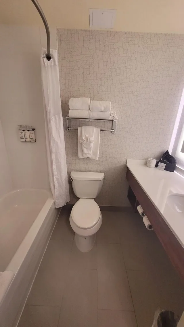 غرفة قياسية بسرير كينج وسرير كوين، Holiday Inn Express Hotel Suites Edmonton South 7/9