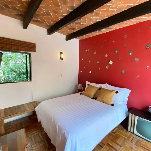 Standard, Double Bed, Posada Colibrí 4/6