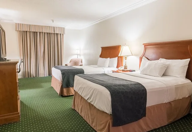 غرفة ديلوكس بسرير مزدوج بإطلالة على المدينة، Maison Dupuy Hotel 1/2