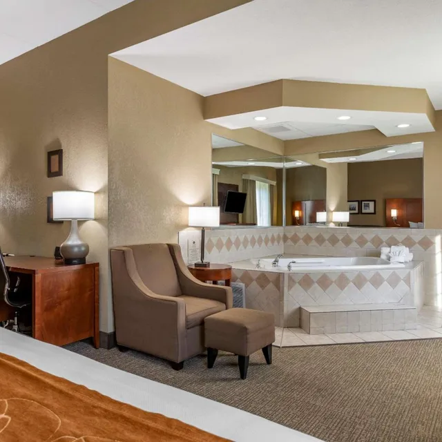 Room, King Bed, Jetted Tub, Large, Comfort Suites Grand Rapids South 1/1