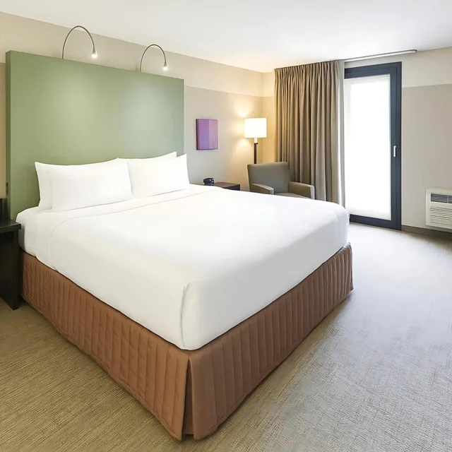 جناح بسرير كينج لذوي الإعاقة، Crowne Plaza Chicago West Loop 2/5