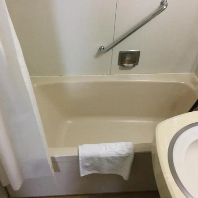 غرفة مفردة، Asahikawa Toyo Hotel 7/13