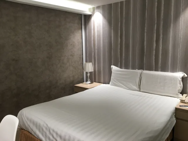 Superior, Single, WiFi Boutique Hotel 1/1
